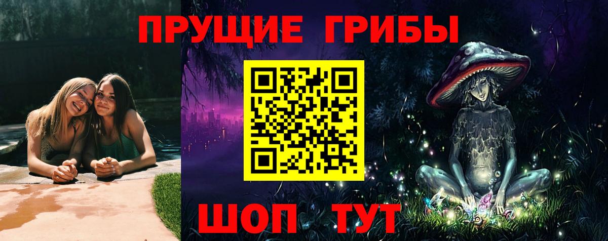 Псилоцибиновые грибы мицелий  Вход с VPN  Вольск 