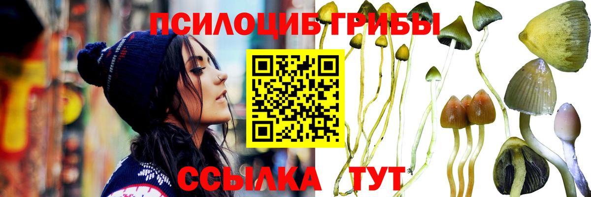 Галлюциногенные грибы ЛСД Вольск